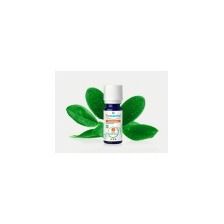 Puressentiel Bio Óleo Ravintsara