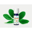 Puressentiel Bio Óleo Ravintsara
