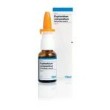 Euphorbium Compositum Heel Spray nasal 20 ml