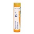 ARGENTUM NITRICUM GRANULO 15CH BOIRON