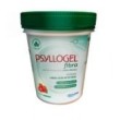 Psyllogel Fibra Pó Oral Morango 170gr
